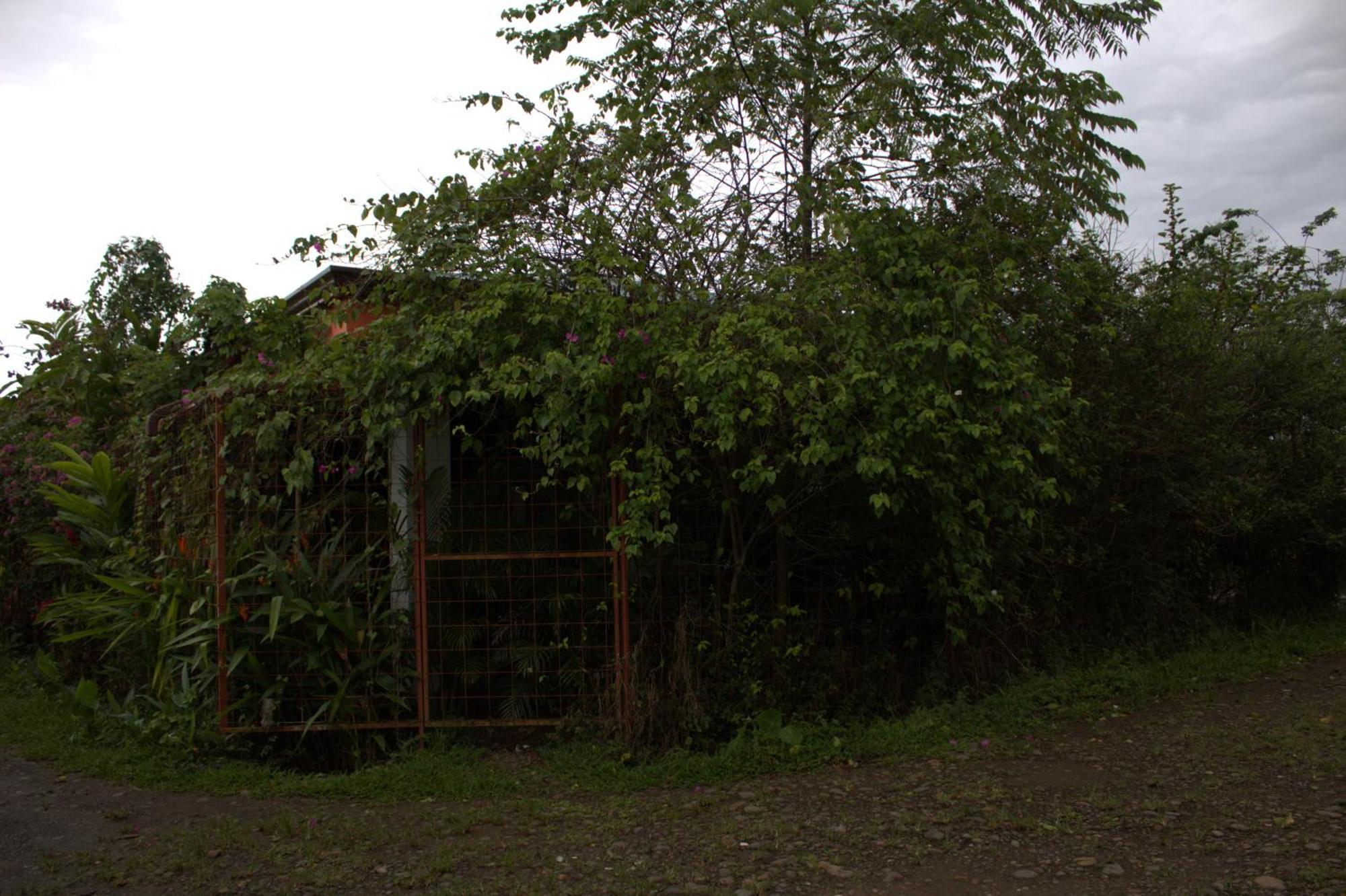 Home La Fortuna Eksteriør bilde
